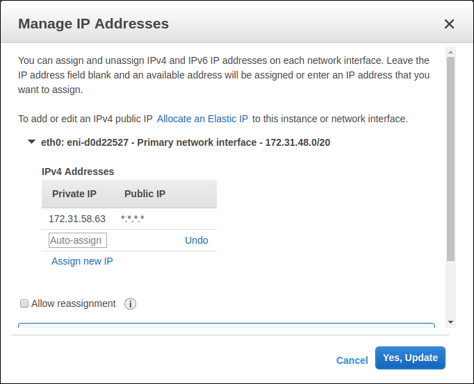 AWS EC2 - Instances - "Manage IP Addresses" Dialog