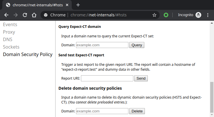 Chrome net-internals HSTS