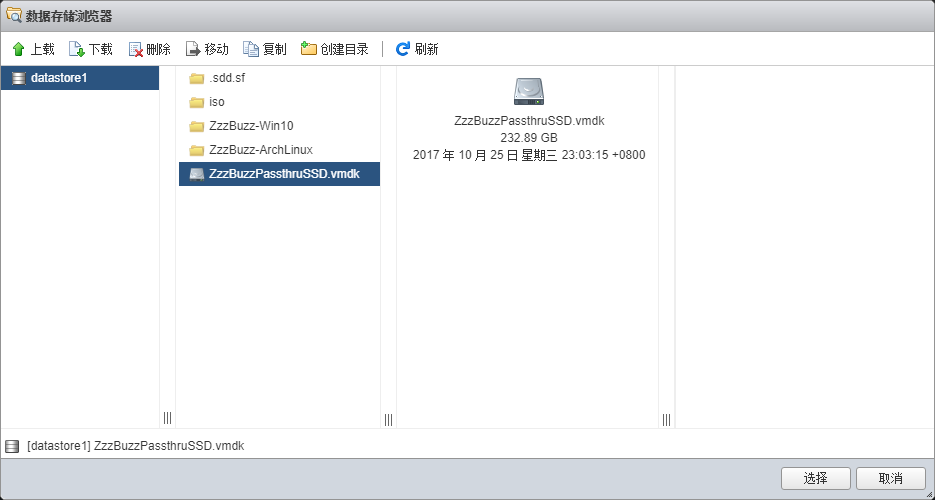 VMware ESXi 数据存储浏览器